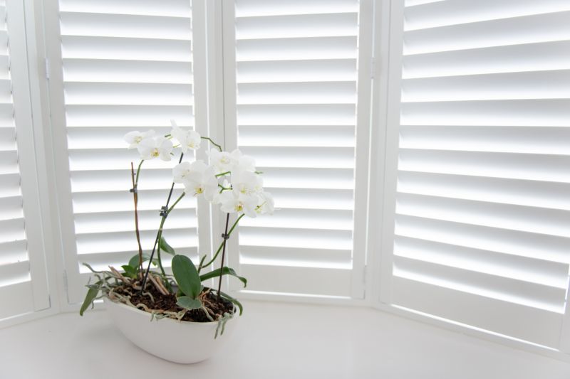 Wood Shutters Installation in Denver County, CO